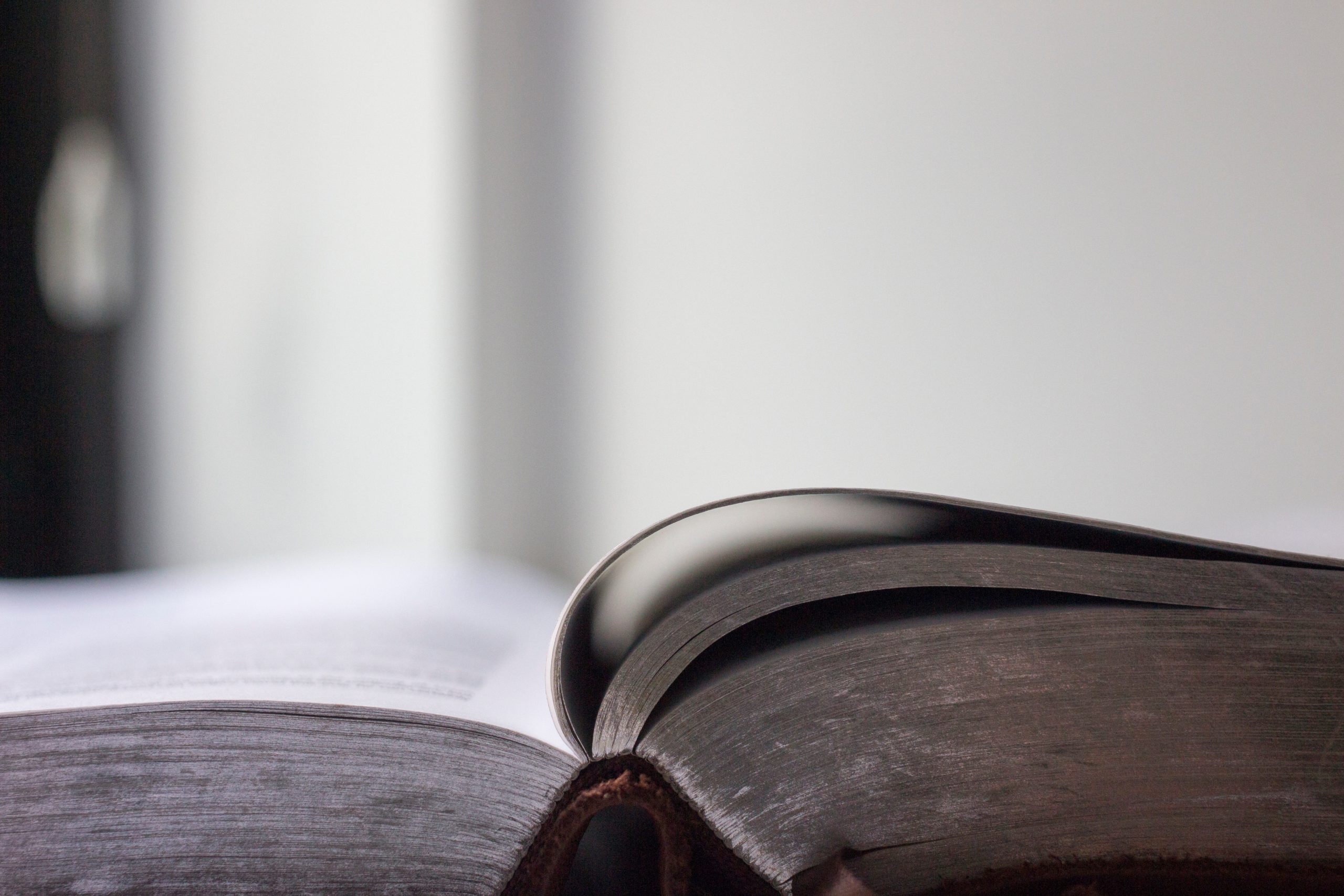Unsplash Speedreading 17