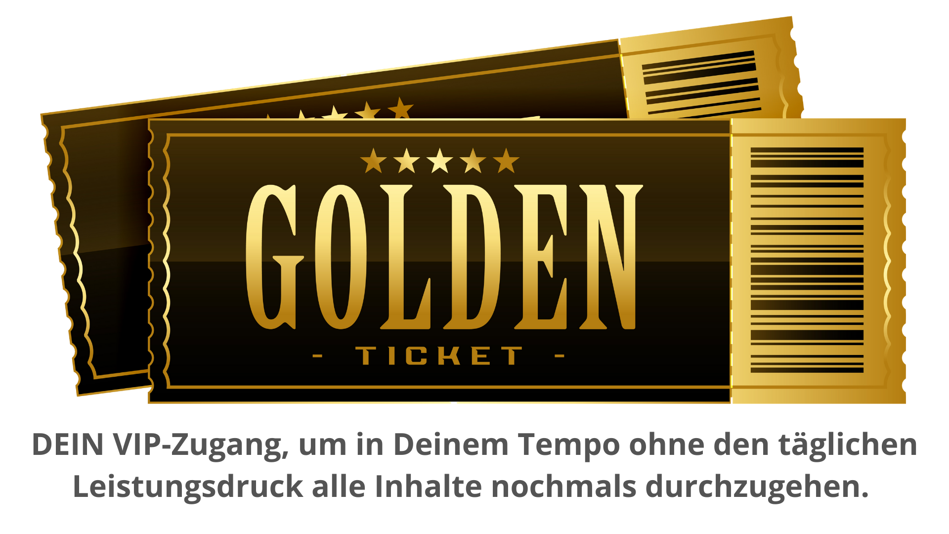 Lp #6 Angebot